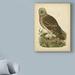 August Grove® 'Antique Nozeman Owl I' Graphic Art Print on Wrapped Canvas in Brown/Green | 19 H x 14 W x 2 D in | Wayfair