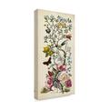 World Menagerie 'Chinoiserie Natura II' Graphic Art Print on Wrapped Canvas Canvas | 24 H x 12 W x 2 D in | Wayfair