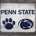 Penn State Nittany Lions 46.5" x 30" Team Tailgater Stencil Kit