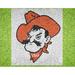 Oklahoma State Cowboys 66.5'' x 46.5'' Original Stencil Kit