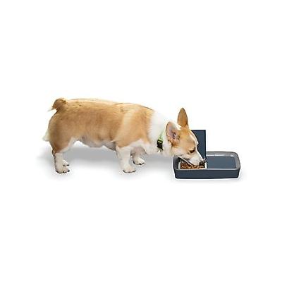 PetSafe Digital 2-Meal Automatic Dog & Cat Feeder