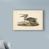 Bay Isle Home™ 'Brown Pelican' Oil Painting Print on Wrapped Canvas in White | 30 H x 47 W x 2 D in | Wayfair 354CFEDBF051484FB9F9ED21F7B27EFF