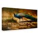 World Menagerie 'Into the Light Peacock by Michael Jackson - Print on Canvas Metal in Brown/Green | 16 H x 32 W x 2 D in | Wayfair