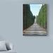 Fleur De Lis Living 'Trip Tree Path' Photographic Print on Wrapped Canvas in Blue/Gray/Green | 19 H x 14 W x 2 D in | Wayfair