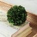 Preserved Boxwood Sphere - Ballard Designs - Ballard Designs