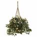 August Grove® 23" Artificial Foliage Plant in Basket Silk/Wood/Plastic in Brown | 30 H x 26 W x 26 D in | Wayfair 58DF094B372148A9A245A83DDAD54B1F