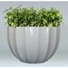 Allied Molded Products Miami Composite Pot Planter Composite in Red/White | 36 H x 60 W x 60 D in | Wayfair 1SU-6036-PD-20