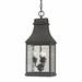 Bjorn Charcoal 3 -Bulb 22" H Outdoor Hanging Lantern Metal in Black Laurel Foundry Modern Farmhouse® | 22 H x 9 W x 9 D in | Wayfair