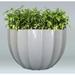Allied Molded Products Miami Composite Pot Planter Composite in White | 36 H x 60 W x 60 D in | Wayfair 1SU-6036-DC-34