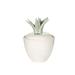 Bradburn Home Cactus Top Storage Jar Ceramic in Green/White | 9 H x 7 W x 7 D in | Wayfair 609-15-15913