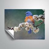 Charlton Home® Ragin Apple Blossoms Bluebird Removable Wall Decal Vinyl in White | 36 H x 48 W in | Wayfair BF3C3616BBB64CE1BD793D0E6F2EE624