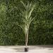 Primrue Artificial Yucca Foliage Tree in Pot Plastic | 54 H x 29 W x 29 D in | Wayfair BNRS2554 35267604