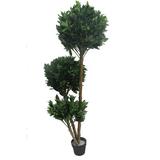 Brayden Studio® Globe Fortune Floor Boxwood Tree in Pot Ceramic/Plastic | 70.87 H x 11.8 W x 9.84 D in | Wayfair BYST5032 41442039