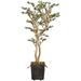 World Menagerie Budding Sedum Floor Tree in Planter Wood/Plastic in Brown | 78 H x 30 W x 30 D in | Wayfair 243CEB286A9D4A8C86D4F39F0140216B