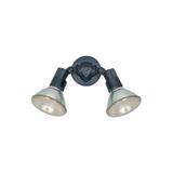 Arlmont & Co. Jaipur 2 - Bulb Outdoor Armed Sconce Glass/Plastic in Black | 11 H x 9.5 W x 2.5 D in | Wayfair CHLH4867 31951999