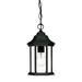 Charlton Home® Pruitt 1 -Bulb 12" H Outdoor Hanging Lantern Glass/Aluminium/Metal in Black | 12 H x 6.25 W x 6.25 D in | Wayfair