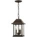 Charlton Home® Duplantis Oil Rubbed Bronze 3 -Bulb 14.75" H Outdoor Hanging Lantern Glass/Metal/Steel in Brown/Gray/Yellow | Wayfair