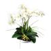 Dalmarko Designs Orchids Centerpiece in Bowl | 23 H x 23 W x 23 D in | Wayfair dmr232