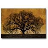 Courtside Market 'Oak Tree' Photographic Print on Wrapped Canvas in Black/Brown | 16 H x 20 W x 1.5 D in | Wayfair WEB-WT181
