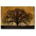 Courtside Market 'Oak Tree' Photographic Print on Wrapped Canvas in Black/Brown | 16 H x 20 W x 1.5 D in | Wayfair WEB-WT181