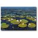 Bay Isle Home™ 'Lily Pads II' Painting Print on Canvas in Blue/Green | 24 H x 36 W x 1.5 D in | Wayfair F6D60C7C9D1C4901848818C07AEA63FC