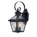 Darby Home Co Ernestine 2 - Bulb 16.25" H Hammered Glass Outdoor Wall Lantern Glass/Metal in Brown | 16.25 H x 7.75 W x 9.25 D in | Wayfair