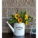 August Grove® Watering Can Shape Wall Decor Metal in Gray/White | 9 H x 16 W x 4.25 D in | Wayfair 5412C25B7791426CA062C6779552AF46