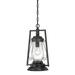 Fleur De Lis Living Lynda 1-Light Outdoor Hanging Lantern Glass/Aluminium/Metal in Black/Gray | 17 H x 9 W x 9 D in | Wayfair FDLL3307 39717320