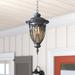 Fleur De Lis Living Grandstaff 1-Light 20.25" H Outdoor Hanging Lantern Glass/Metal in Black | 20.25 H x 9.4 W x 9.4 D in | Wayfair