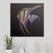 Bay Isle Home™ Wireman Angelfish' by Michael Creese Painting Print | 16 H x 16 W x 1.5 D in | Wayfair 0A663B680FCC47909266E482914A9D79