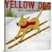 Great Big Canvas 'Yellow Dog Ski' by Ryan Fowler Vintage Advertisement | 10 H x 10 W x 1.5 D in | Wayfair 1421318_1_10x10