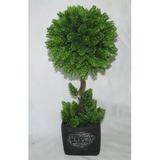 Jeco Inc. Boxwood Topiary in Pot Ceramic | 16 H x 7 W x 7 D in | Wayfair HD-BT043