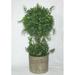 Jeco Inc. Boxwood Topiary in Pot Resin | 18 H x 7 W x 7 D in | Wayfair HD-BT017