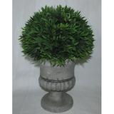 Jeco Inc. Cedar Topiary in Urn Ceramic | 12 H x 7 W x 7 D in | Wayfair HD-BT013
