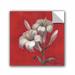 ArtWall Silvia Vassileva Christmas Flowers Removable Wall Decal Canvas/Fabric in White | 36 H x 36 W in | Wayfair 2vas174a3636p