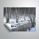 ArtWall Quiet Wall Mural Vinyl in Gray/White | 14 H x 18 W in | Wayfair 6Hun076a1418p