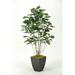 Latitude Run® Fiddle Leaf Fig Tree in Planter Plastic/Metal | 60 H x 24 W x 24 D in | Wayfair LATT4901 38105804