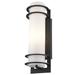 Latitude Run® Sandridge Frosted Glass Outdoor Armed Sconce Aluminum/Glass/Metal in Black | 16.25 H x 5.5 W x 5.5 D in | Wayfair LDER4980 42556985