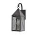 Longshore Tides Michaela 1-Light Outdoor Wall Lantern Brass | 16.75 H x 5.75 W x 8.75 D in | Wayfair 27435B7CFE45411791FFDFBDAFE6F1DE