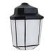 Latitude Run® Donnie 1 - Bulb Outdoor Wall Lantern Glass/Metal in Black | 9.5 H x 6.75 W x 4 D in | Wayfair LRUN5951 39531879