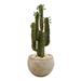 Williston Forge 21.5" Artificial Cactus in Pot Silk/Ceramic/Plastic | 30 H x 10 W x 10 D in | Wayfair 7E2FD54D09D84B84B584EF5D63C94920