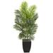 Bay Isle Home™ 66" Artificial Palm Tree in Planter Silk/Ceramic/Plastic | 66 H x 28 W x 28 D in | Wayfair 10BFA4F75CD646C180FDEAB387575C01