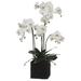 One Allium Way® Phalaenopsis Orchid Floral Arrangement in Planter | 37 H x 23 W in | Wayfair OAWY4283 31615639