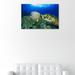 Art Remedy 'Green Sea Turtle' Photographic Print on Wrapped Canvas Canvas, Wood in Blue/Green | 10 H x 15 W x 1.5 D in | Wayfair