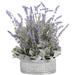 Ophelia & Co. Tin Flowering Plant in Planter Plastic/Metal | 16.5 H x 15.5 W x 15.5 D in | Wayfair OPCO4373 41990191