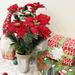 The Holiday Aisle® 18 Stems Artificial Poinsettia Bouquet Fake Christmas Flowers, Faux Velvet Poinsettia Peony Polyester in Red | Wayfair