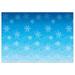 The Holiday Aisle® Snowflakes Backdrop | 48 H x 360 W x 0.01 D in | Wayfair THLA8163 40758876