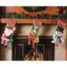 The Holiday Aisle® 3 Piece Knitted Trim Christmas Stocking Set Polyester in Green/Red | 18.5 H x 7.5 W in | Wayfair THLY2045 44254550