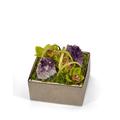 T&C Floral Company Orchids Floral Arrangement in Planter, Crystal in Green | 8 H x 8 W x 8 D in | Wayfair S1806SG
