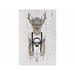 The Holiday Aisle® Reindeer Wooden Sign Wall Décor in Gray | 24 H x 16 W in | Wayfair 2E49795498F948458C9F13270D7D7250